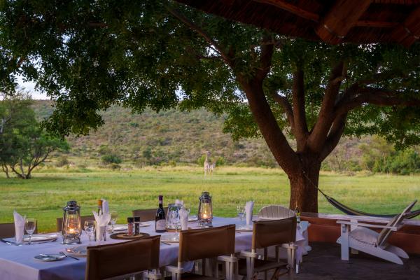 Zebras Crossing Boutique Lodge - 167379