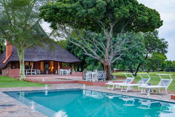 Zebras Crossing Boutique Lodge - 167380