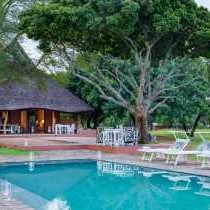 Zebras Crossing Boutique Lodge - 167380