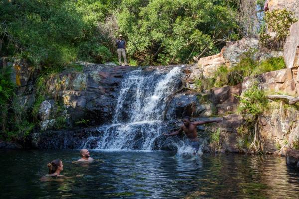 Zebras Crossing Boutique Lodge - 167399