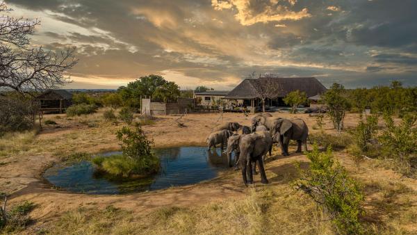 Imagine Africa Luxury Tented Camp - 167635