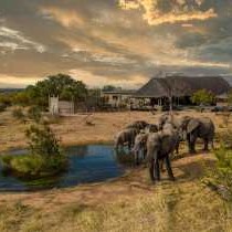 Imagine Africa Luxury Tented Camp - 167635