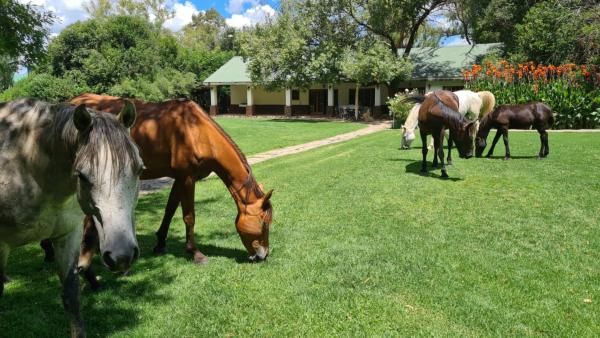 De Oude Kraal Country Estate - 167915