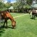 De Oude Kraal Country Estate - 167915