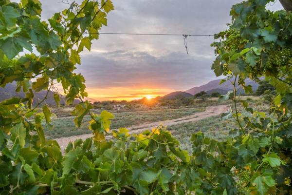 Sunset at Harmonie Farm Cottage