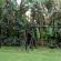 803 La Ballito - 169073 803 La Ballito - 169073
