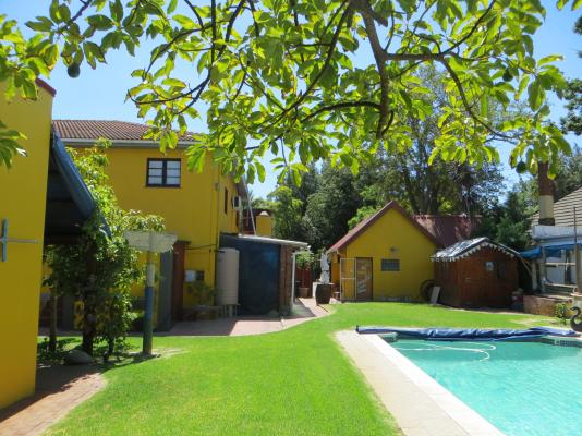 pool and garden