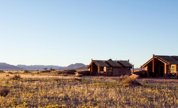 Desert Camp - 169189