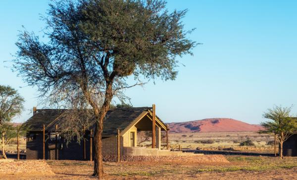 Desert Camp - 169193