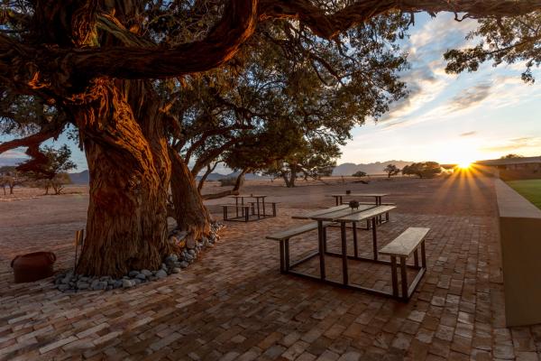 Sossusvlei Lodge - 169292