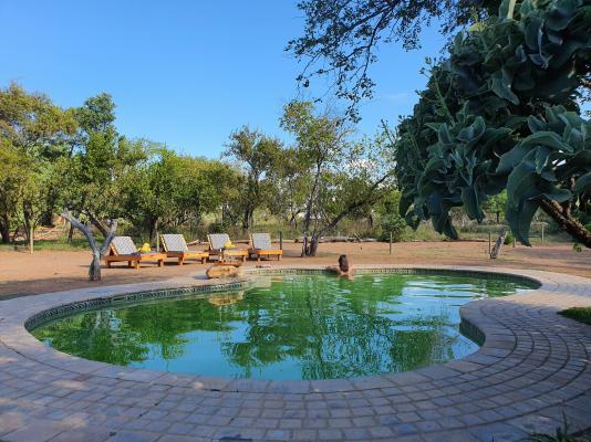 Masorini Bush Lodge - 170494