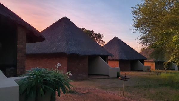 Masorini Bush Lodge - 170495