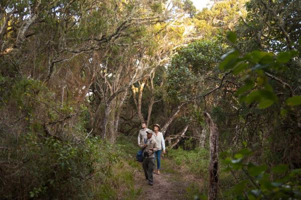 Grootbos Private Nature Reserve - 170605