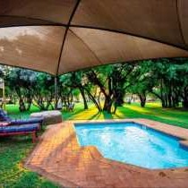 Bushbabies Lodge - 170842