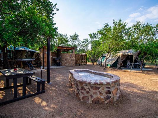 Bushbabies Lodge - 170874