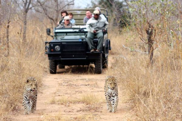 Savanna Private Game Reserve - 171393