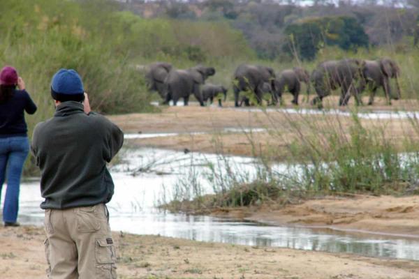 Savanna Private Game Reserve - 171397