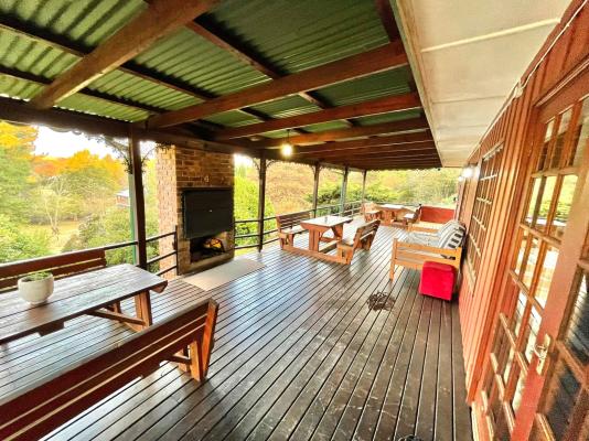 The Hedge at Dullstroom Cottage - 171688