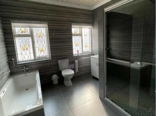 Southport Coral - 172344