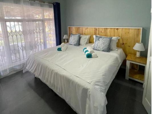 Southport Coral - 172345