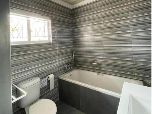 Southport Coral - 172347