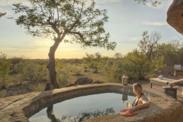 Rhulani Safari Lodge - 172608