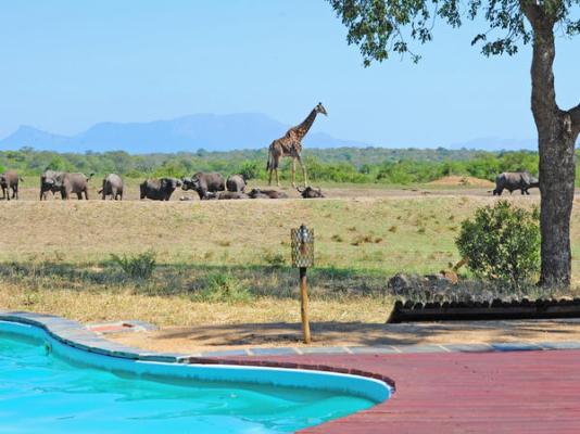 Tangala Safari Camp - 173175