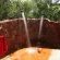 Sigurwana Lodge - 174387 Sigurwana Lodge - 174387