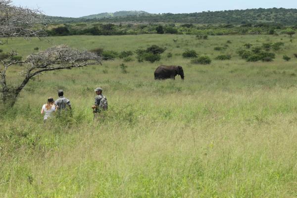 Sungulwane Private Game Lodge - 174625