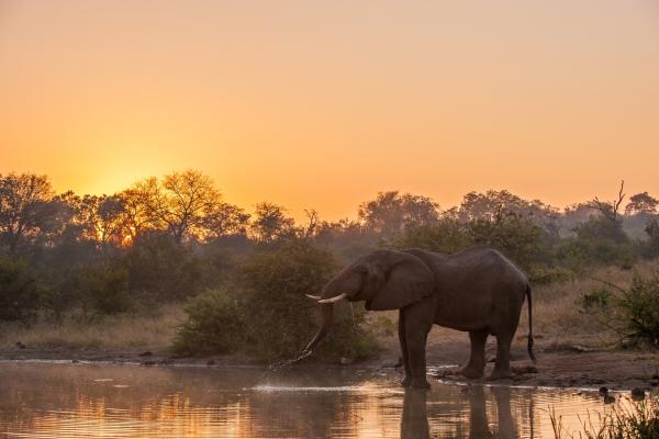 Pondoro Game Lodge - 174866