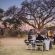 Marataba Luxury Lodges - 174954 Marataba Luxury Lodges - 174954