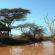 White Elephant Bush Camp - 175727 White Elephant Bush Camp - 175727