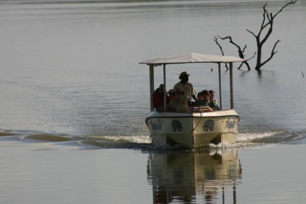 White Elephant Bush Camp - 175730