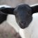 Ysterfontein Guestfarm - 176187 Ysterfontein Guestfarm - 176187