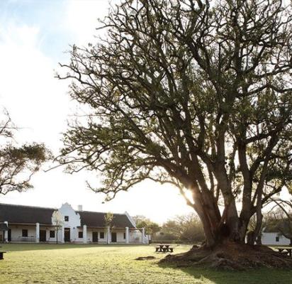 Spier Estate - 176900