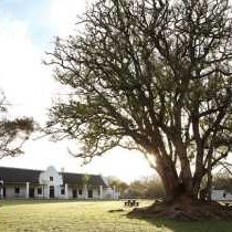 Spier Estate - 176900