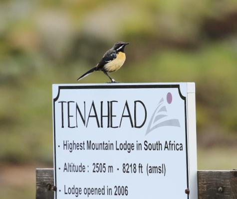 Tenahead Lodge & Spa - 177006