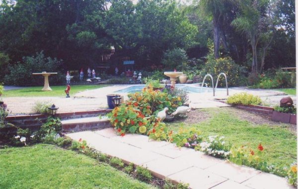 The garden and pool area 