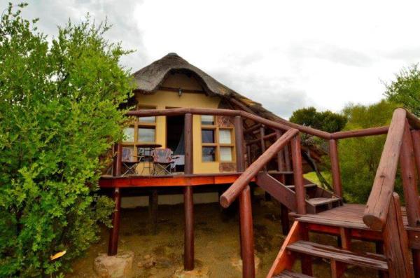 Letsatsi Private Game Lodge - 177297