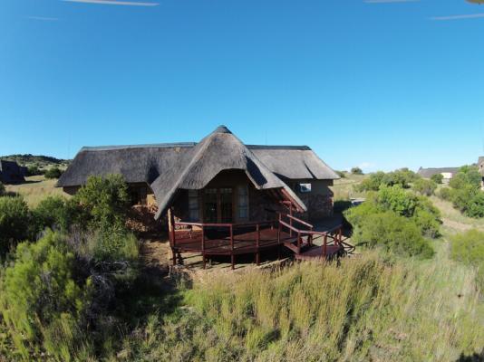 Letsatsi Private Game Lodge - 177305