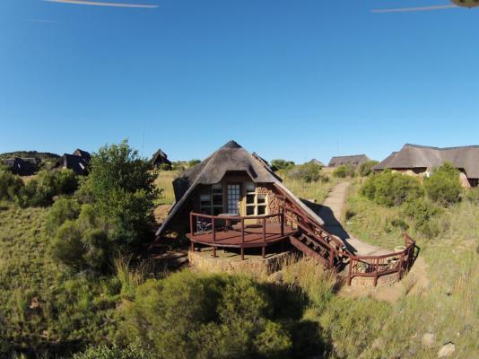 Letsatsi Private Game Lodge - 177307