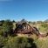 Letsatsi Private Game Lodge - 177307