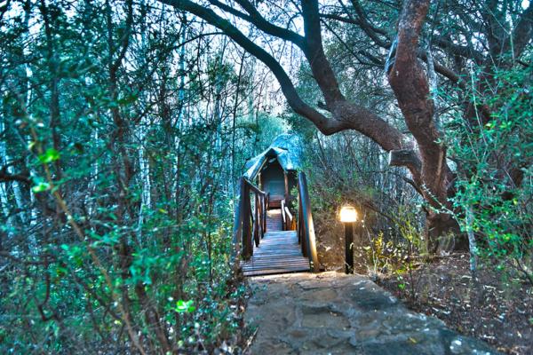 Letsatsi Private Game Lodge - 177313