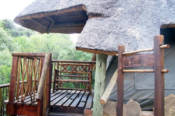 Letsatsi Private Game Lodge - 177314