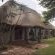 Nyathi Lodge - 178815