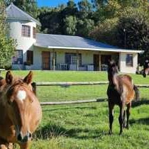 Farm Stay Accommodation - 178826