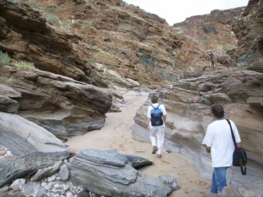 Hiking through the gorges of the Gaub 