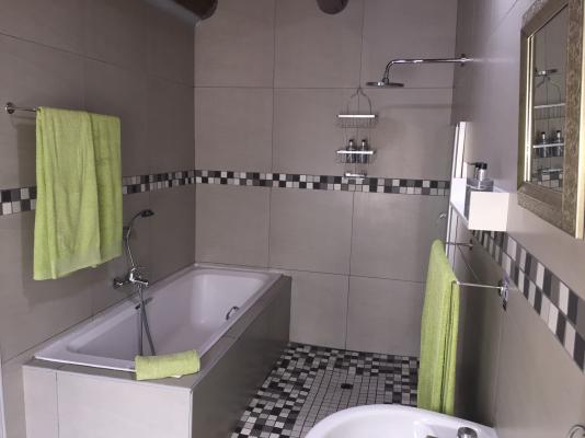  Apartment A - Bath & Shower