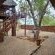 Hoedspruit Bush Stay - 179913