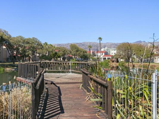 Laguna Beach B8 - 180070